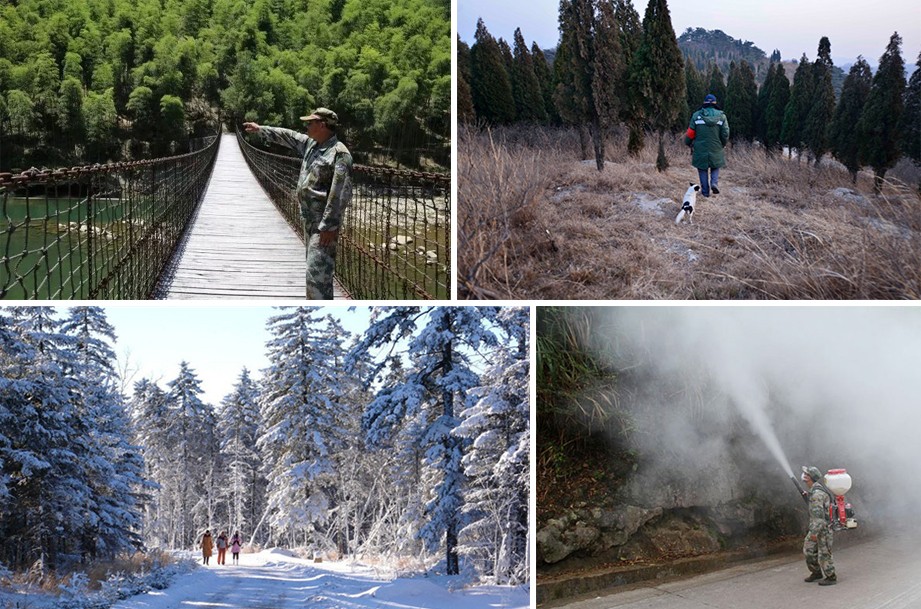 森林資源管護(hù)